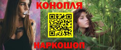 jwh Новозыбков