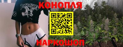 jwh Новозыбков