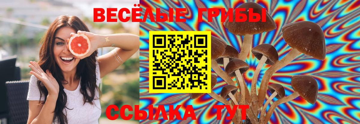 где купить наркоту  Галлюциногенные грибы ЛСД  Вход с VPN  Шали 